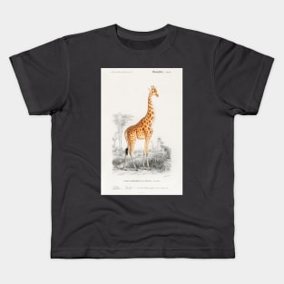 Giraffe Africa Kids T-Shirt